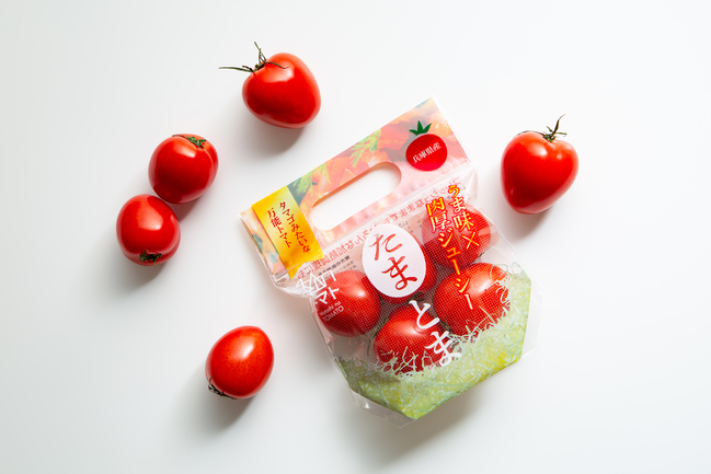 株式会社ゼブラグリーンズ | 出展者・商品検索システム