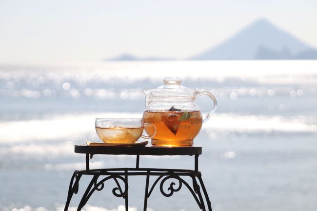 伝承びわ茶5包入 | 農業生産法人有限会社十津川農場 | 出展者・商品