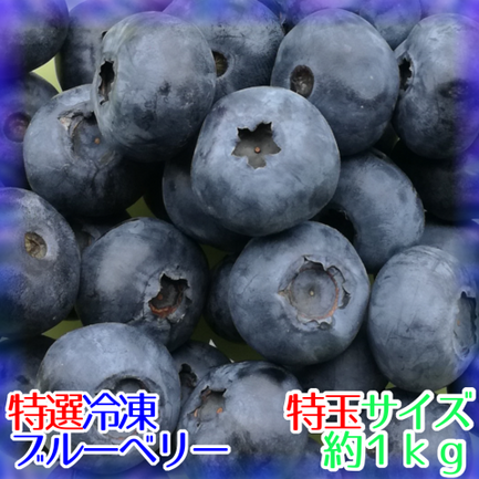 み 完熟冷凍ブルーベリー【大粒】6kg 冷凍ブルーベリー1.5㎏ 『大粒