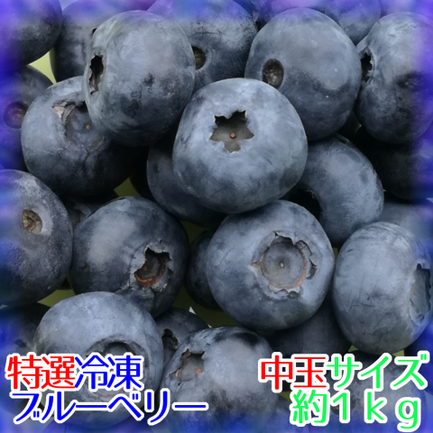 特選】完熟冷凍ブルーベリー[中玉]1kg | かづの精果園 | 出展者