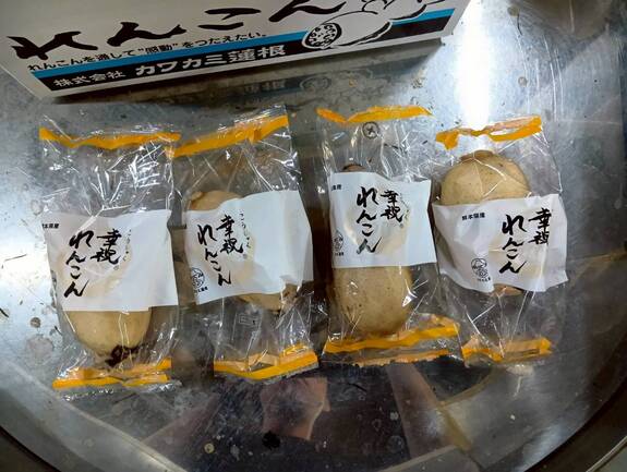 281_KeyVisual_2025121600360246