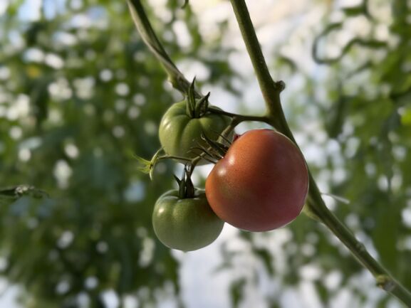 293_KeyVisual_2025111803512133