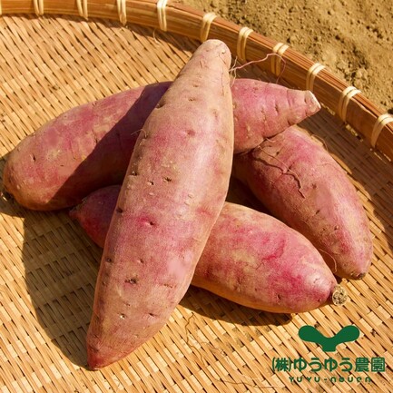 特選平干し 200g | 株式会社ゆうゆう農園 | 出展者・商品検索システム