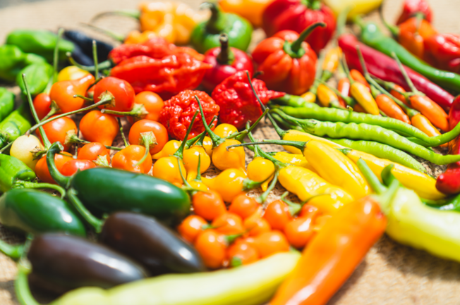 509_KeyVisual_2025121006514699