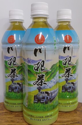 さやま茶ペットボトル 500ml | 株式会社新井園本店 | 出展者・商品検索