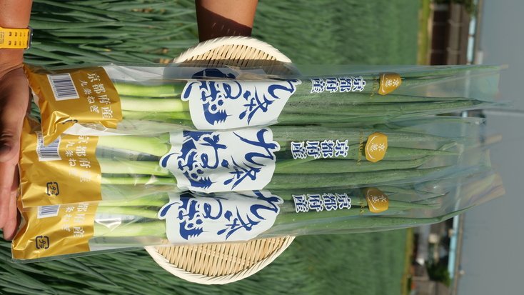 京都府産九条ねぎ FG | 株式会社SAMURAI FARMERS | 出展者・商品検索