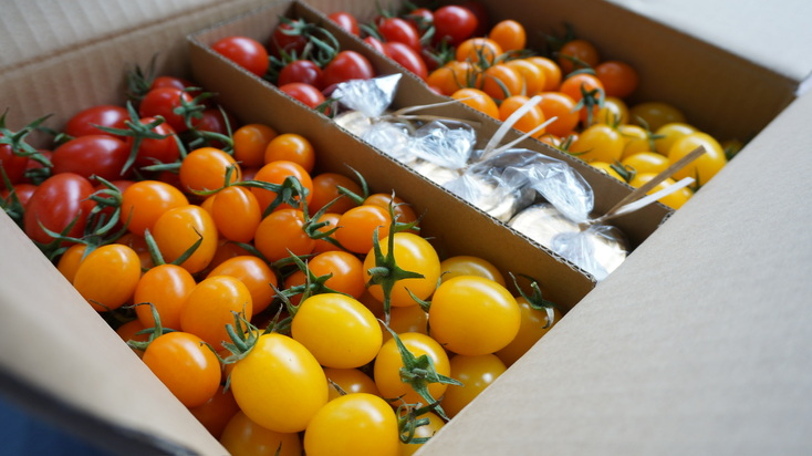 916_KeyVisual_2025120803184868