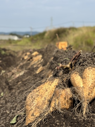 916_KeyVisual_2025120804402790